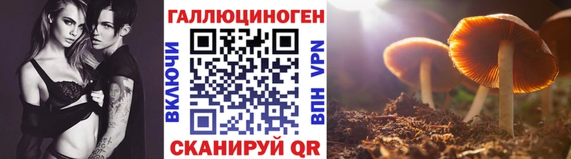 Галлюциногенные грибы прущие грибы  Макаров 